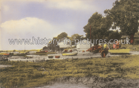 Oyster Beds, West Mersea, Essex. c.1950's